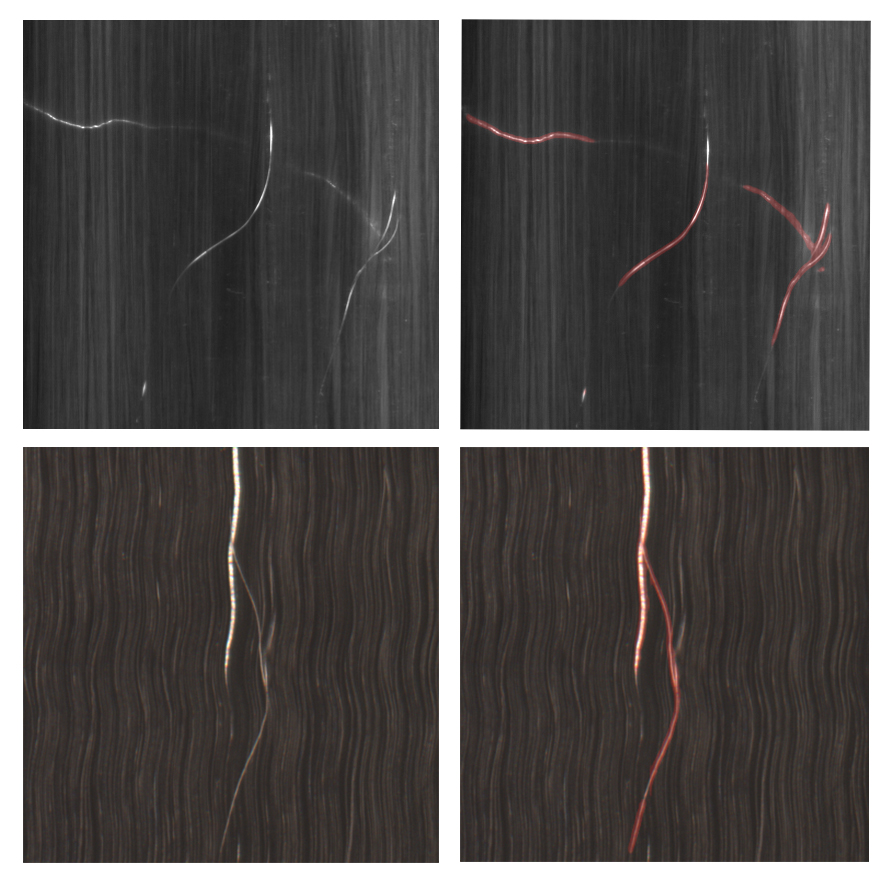 Illustration of the surface of PAN fibers (left) and carbon fibers after spreading (right)