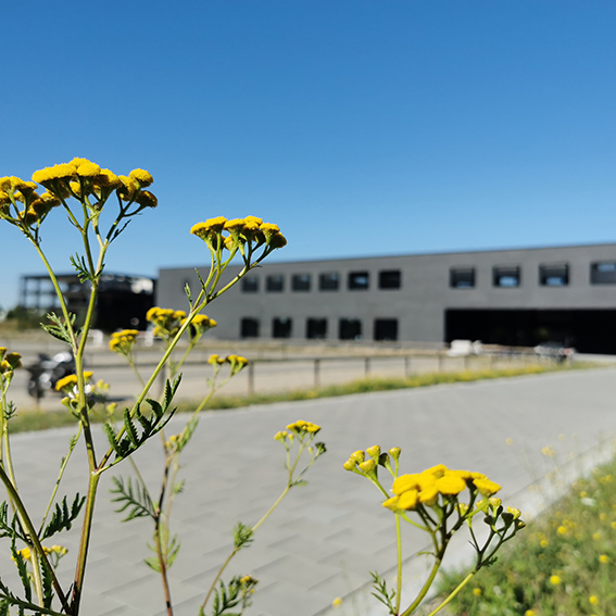 All-round sustainability: The new institute building of the Fraunhofer IGCV